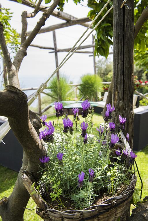 Villa Gianlica Praiano Exteriér fotografie